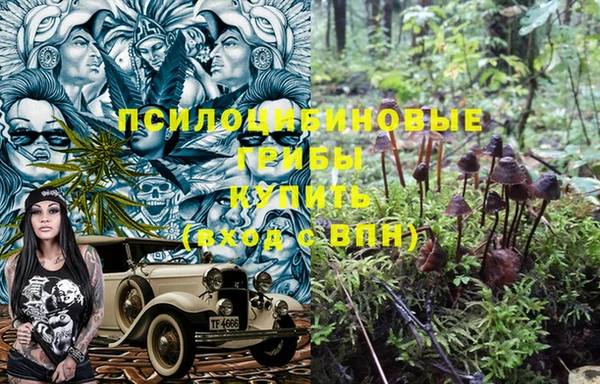 метадон Армянск