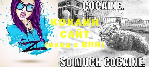 Альфа ПВП Аркадак