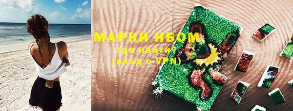ПСИЛОЦИБИНОВЫЕ ГРИБЫ Арсеньев