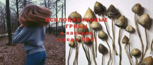 Альфа ПВП Аркадак
