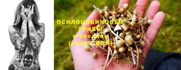ПСИЛОЦИБИНОВЫЕ ГРИБЫ Арсеньев