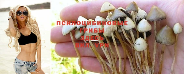 метадон Армянск