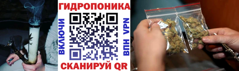Каннабис Amnesia  где купить   Калачинск 